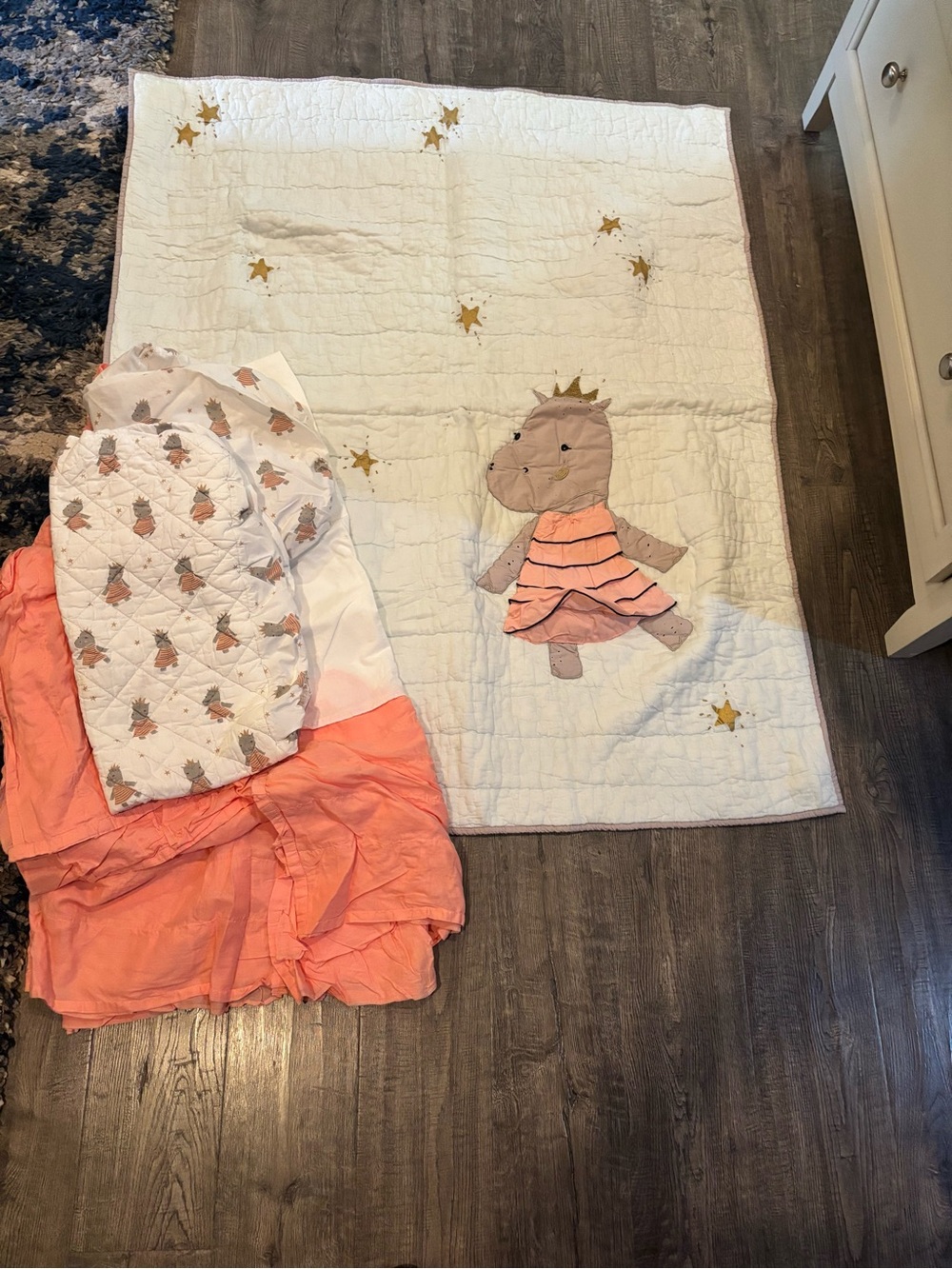 Land of Nod (crate and barrel) Nursery bedding!